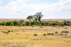 62: Kenya-131