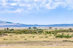 63: Kenya-136