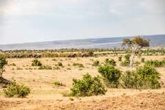 66: Kenya-142
