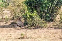 67: Kenya-144
