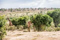 68: Kenya-147