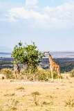 69: Kenya-148