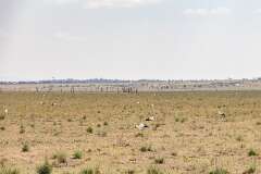 97: Kenya-305