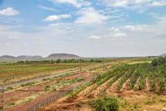 102: Kenya-315