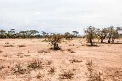 108: Kenya-325