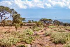111: Kenya-335