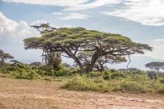 112: Kenya-339