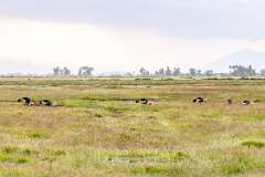114: Kenya-348