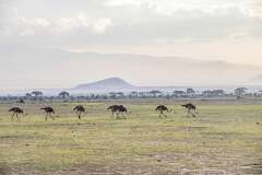117: Kenya-356