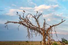 121: Kenya-360