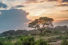 122: Kenya-362