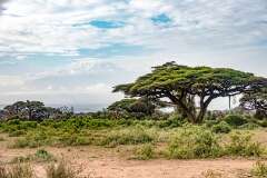 126: Kenya-370