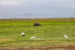 134: Kenya-380