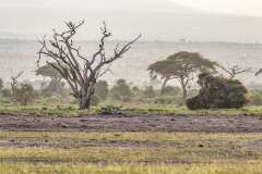 139: Kenya-385