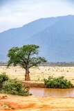 156: Kenya-433
