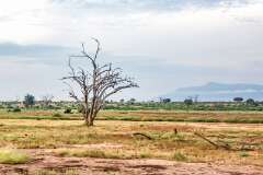 159: Kenya-436