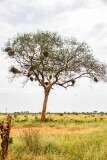 166: Kenya-450