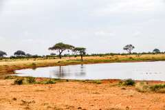 167: Kenya-451