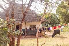 184: Kenya-539