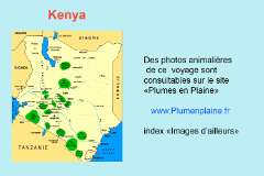 206: Kenya700
