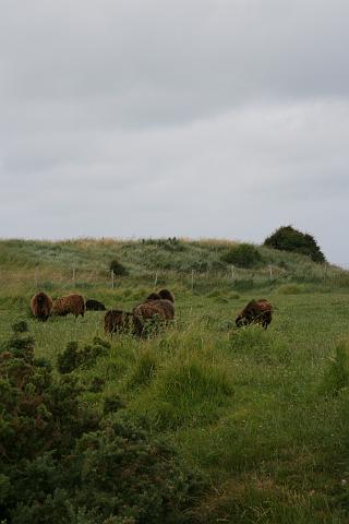 Normandie-346.JPG