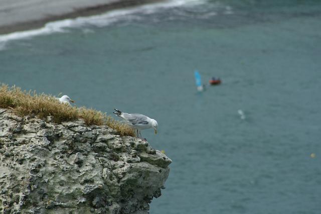 Normandie-424.JPG
