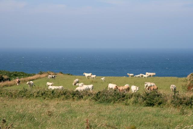 Normandie-622.JPG
