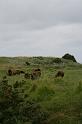 Normandie-346