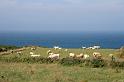 Normandie-622