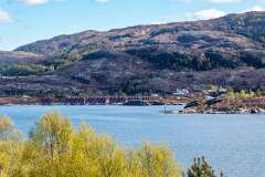 7: Norvege111