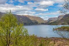 13: Norvege124