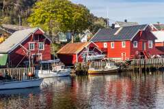 40: Norvege246