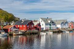 41: Norvege247