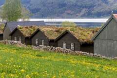 66: Norvege329
