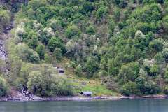 81: Norvege417