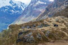 96: Norvege457
