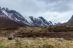 99: Norvege463