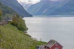 195: Norvege818