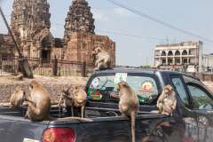 26: Thailande-0180