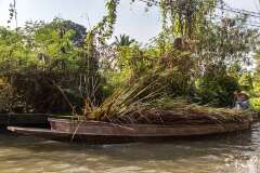155: Thailande-0738