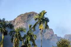 217: Thailande-0910
