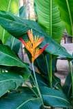 218: Thailande-0913